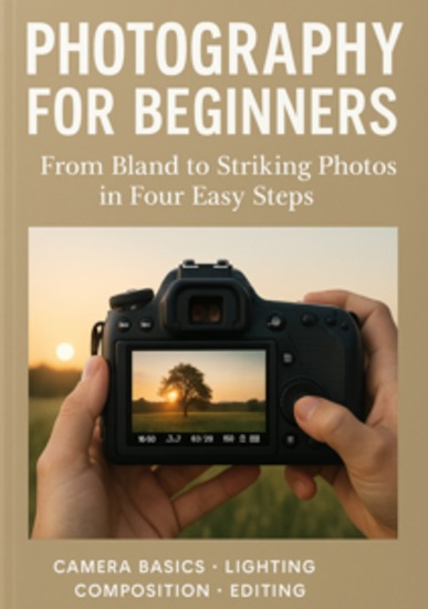 Struggling with Blurry Shots? Transform Everyday Clicks into Professional-Grade Masterpieces with the Beginner’s Four-Step Photography Blueprint - cover