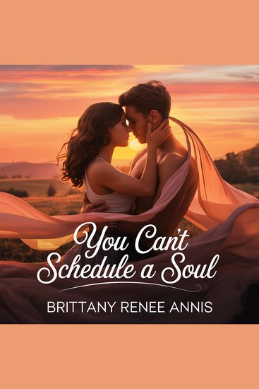 You Cant Schedule A Soul - A whirlwind romance - cover
