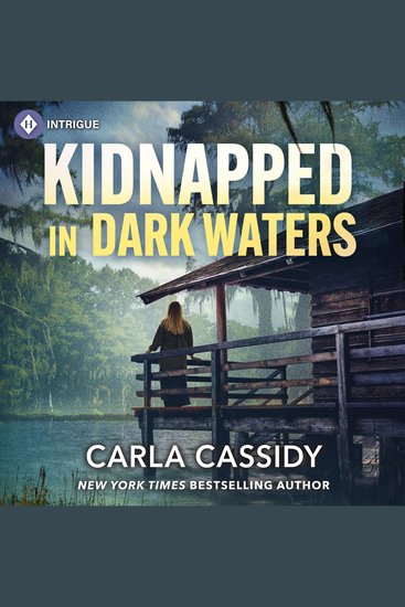 Kidnapped in Dark Waters - cover