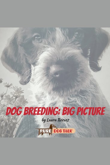 Dog Breeding: Big Picture - cover