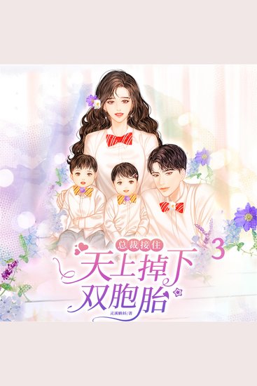 总裁接住，天上掉下双胞胎3 - cover