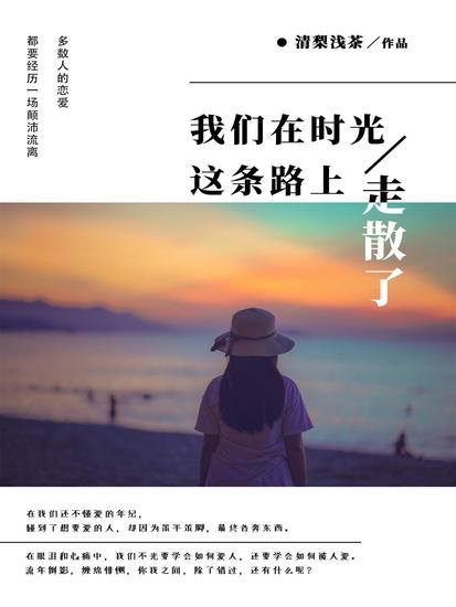 我们在时光这条路上走散了 - cover