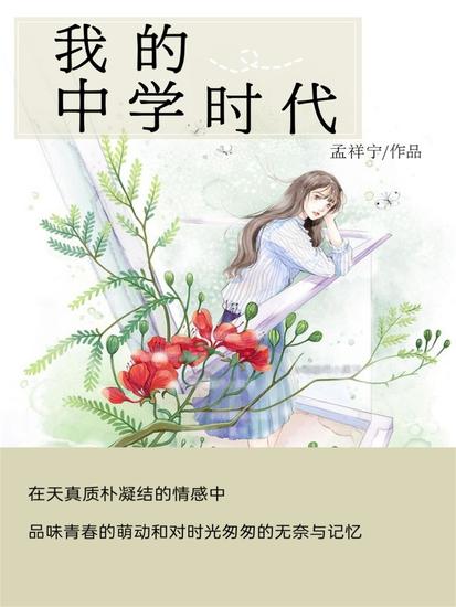我的中学时代 - cover