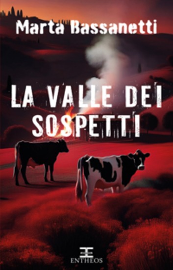 La valle dei sospetti - cover