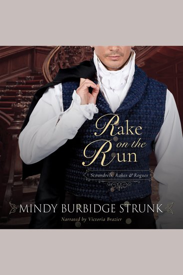 Rake on the Run - cover