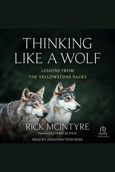 Thinking Like a Wolf - Lessons From the Yellowstone Packs - cover