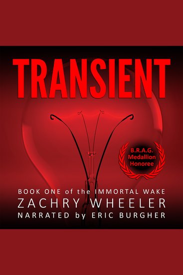 Transient: A Tech Noir Novel - cover