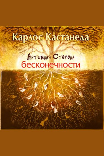 Активная сторона бесконечности - Свобода выбора и действий - cover