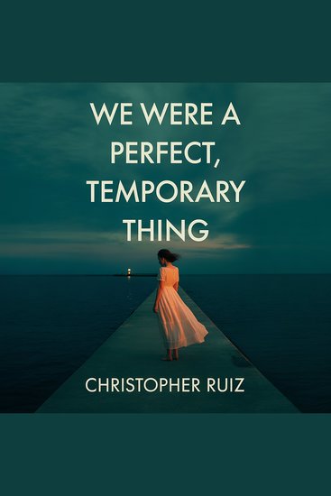 We were a perfect temporary thing - cover