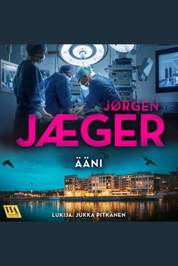 Ääni - cover