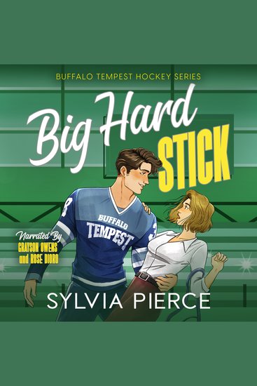 Big Hard Stick - A Hockey Romance - cover