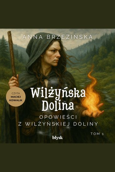 Opowieści z Wilżyńskiej Doliny - cover