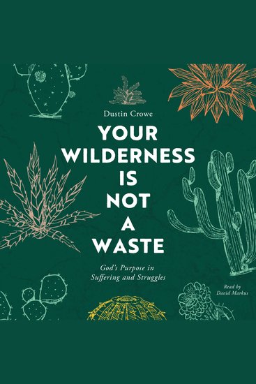 Your Wilderness Is Not a Waste - God's Purpose in Suffering and Struggles - cover