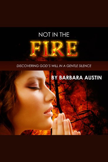 Not in the Fire - Discovering God's Will in a Gentle Silence - cover