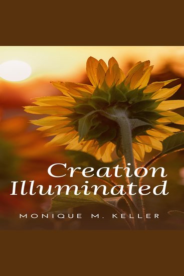 Creation Illuminated - cover