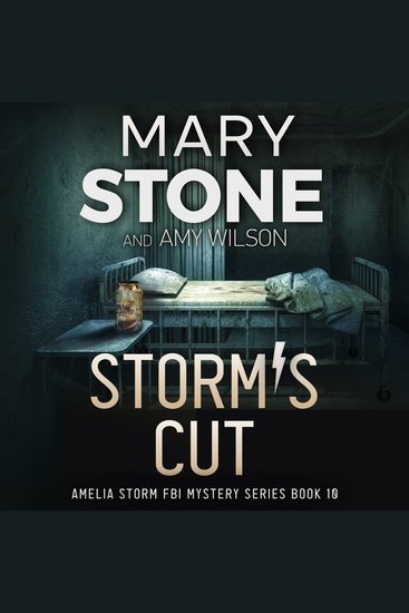 Storm's Cut - cover