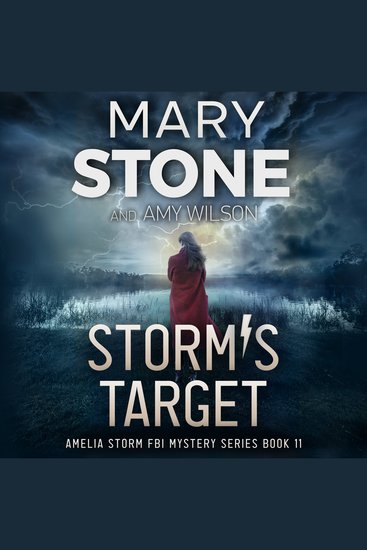 Storm's Target - cover