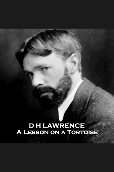A Lesson on a Tortoise - From their pens to your ears genius in every story - cover