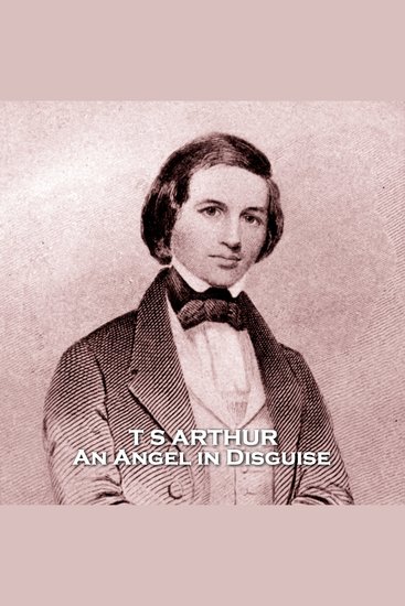 Angel in Disguise An - From their pens to your ears genius in every story - cover