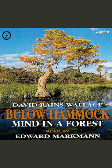 Bulow Hammock - Mind in a Forest - cover