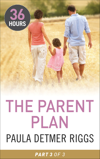 The Parent Plan: Part 3 - cover