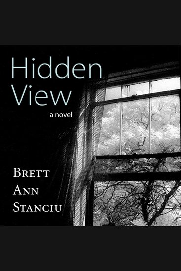 Hidden View - cover