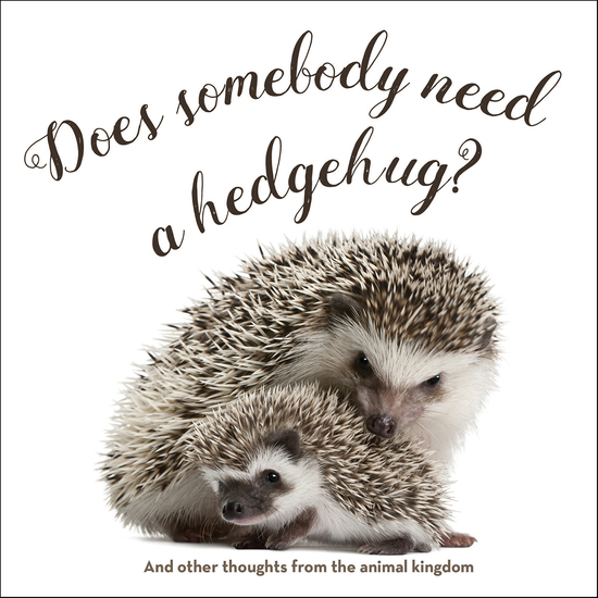 Does Somebody Need a Hedgehug? - And Other Thoughts from the Animal Kingdom - cover