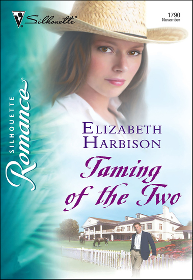 Taming of the Two - cover