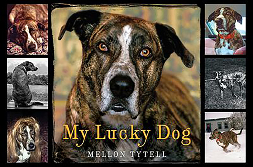 My Lucky Dog - cover