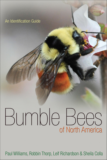 Bumble Bees of North America - An Identification Guide - cover