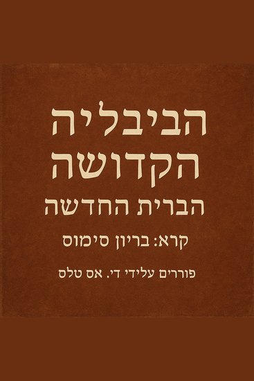 הַבָּבֶל הַקָּדוֹשׁ – הַבְּרִית הַחֲדָשָׁה - cover