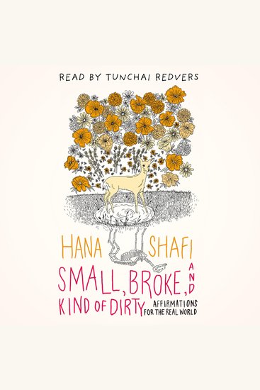 Small Broke and Kind of Dirty - Affirmations for the Real World - cover