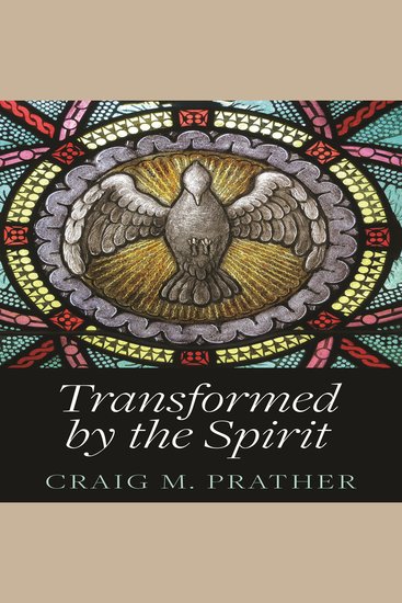 Transformed by the Spirit - A Modern Journey into Spiritual Formation - cover