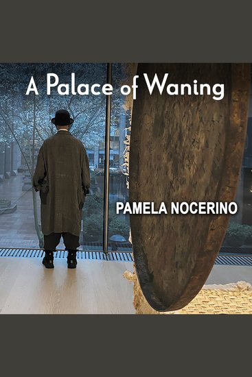 A Palace of Waning - A Collection of Poems - cover