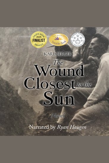 The Wound Closest to the Sun - Novel - cover