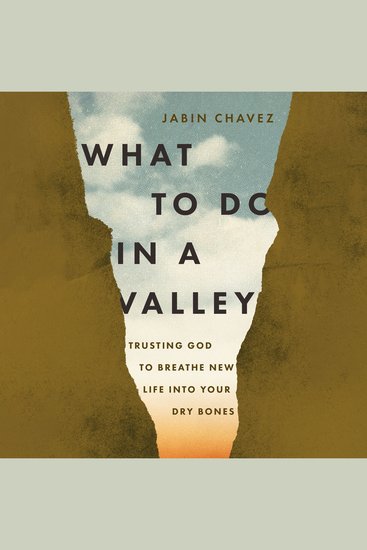 What to Do in a Valley - Trusting God to Breathe New Life into Your Dry Bones - cover