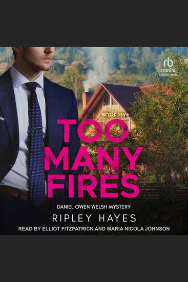 Too Many Fires - A Gay Mystery - cover