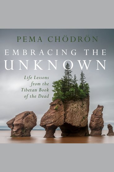 Embracing the Unknown - Life Lessons from the Tibetan Book of the Dead - cover