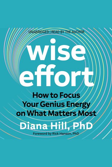 Wise Effort - How to Focus Your Genius Energy on What Matters Most - cover