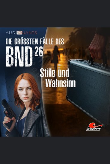 Die größten Fälle des BND Folge 26: Stille und Wahnsinn (ungekürzt) - cover