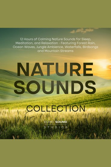 Nature Sounds Collection: 12 Hours of Calming Nature Sounds for Sleep Meditation and Relaxation - Featuring Forest Rain Ocean Waves Jungle Ambience Waterfalls Birdsongs and Mountain Streams - cover