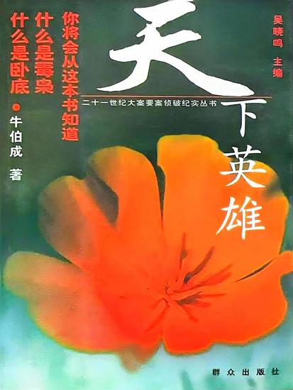 天下英雄 - cover