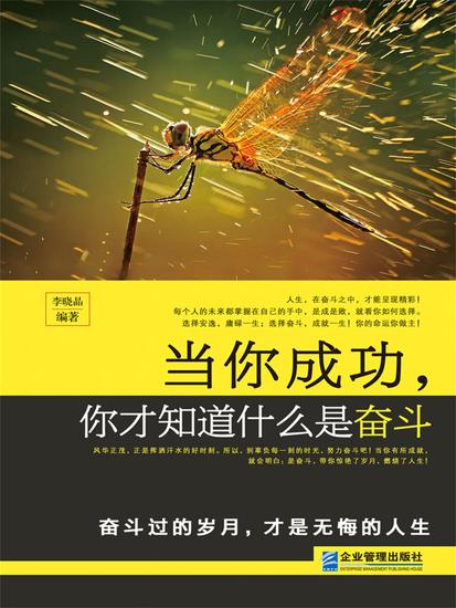 当你成功，你才知道什么是奋斗 - cover