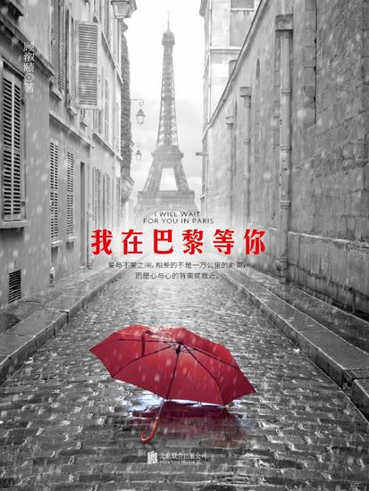 我在巴黎等你 - cover