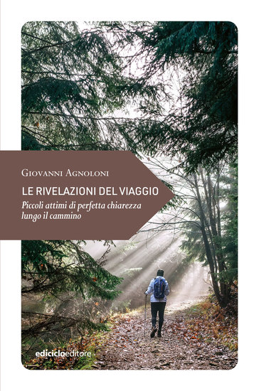 Le rivelazioni del viaggio - Piccoli attimi di perfetta chiarezza lungo il cammino - cover