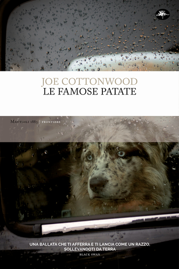 Le famose patate - cover