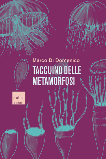 Taccuino delle metamorfosi - cover