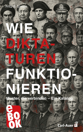 Wie Diktaturen funktionieren - Muster die verbinden – Ein Katalog - cover