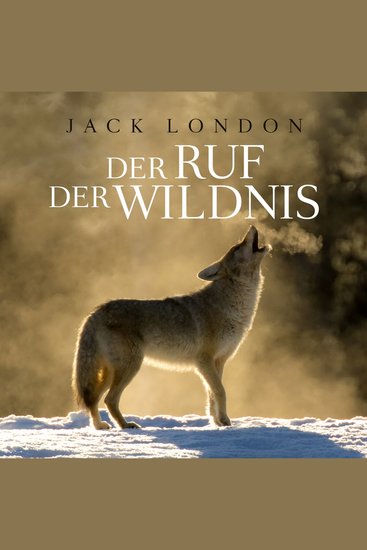 Der Ruf der Wildnis - Gelesen von Matthias Ernst Holzmann Bearbeitung: Thomas Tippner - cover