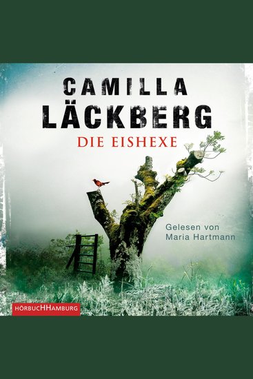 Die Eishexe (Ein Falck-Hedström-Krimi 10) - cover